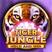 Chương trình VIP và ưu đãi độc quyền 56win chính thức